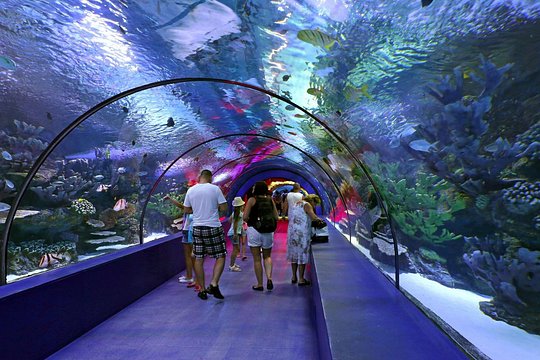 Tour image 10