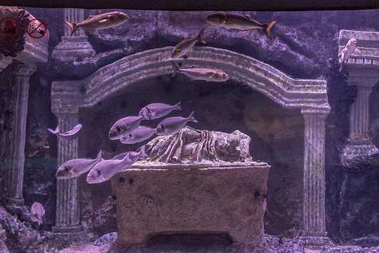 Tour image 5